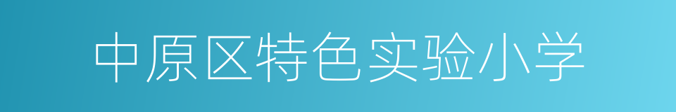 中原区特色实验小学的同义词