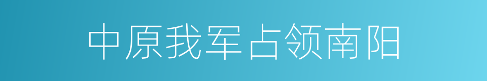 中原我军占领南阳的同义词