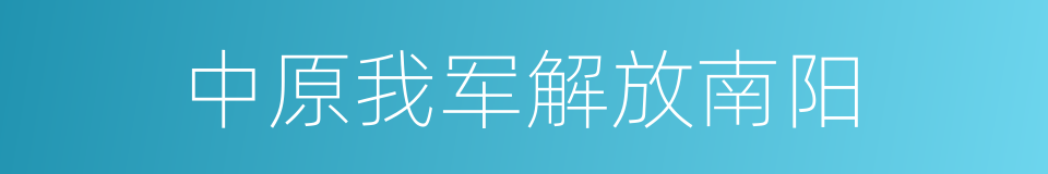 中原我军解放南阳的同义词