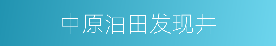 中原油田发现井的同义词