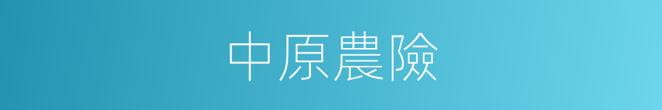 中原農險的同義詞