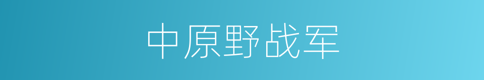 中原野战军的同义词