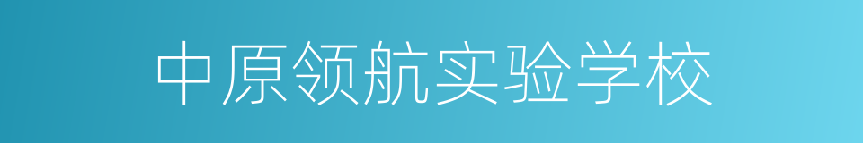 中原领航实验学校的同义词