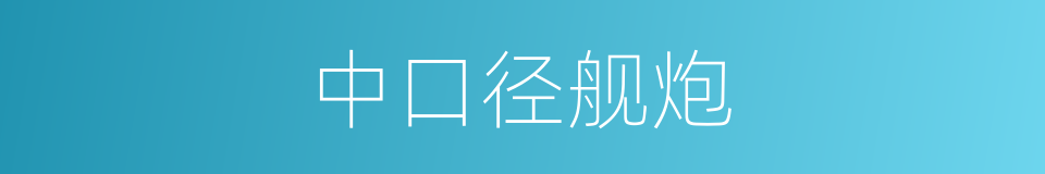 中口径舰炮的同义词