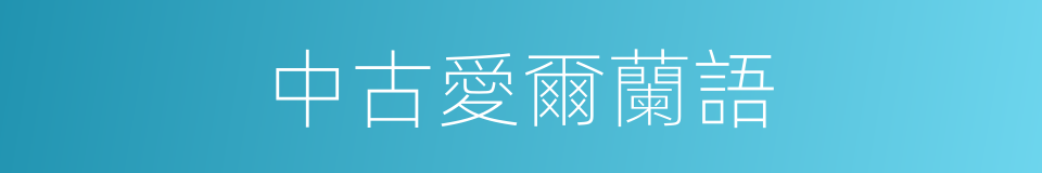 中古愛爾蘭語的同義詞