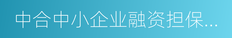 中合中小企业融资担保股份有限公司的同义词