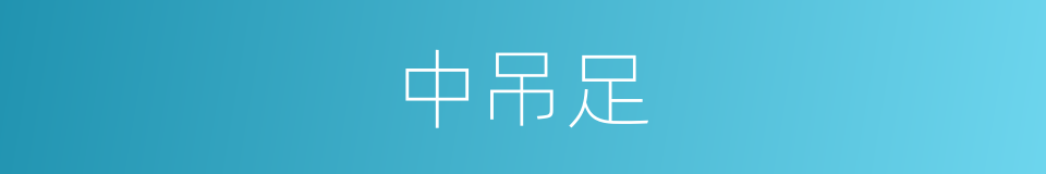 中吊足的同义词