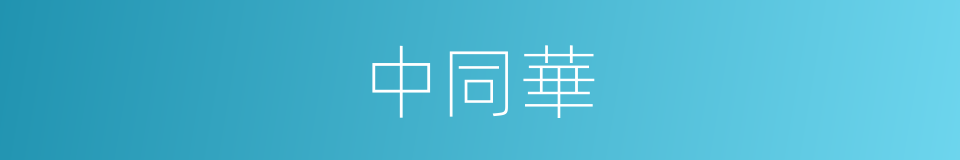 中同華的同義詞