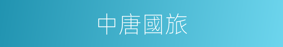 中唐國旅的同義詞