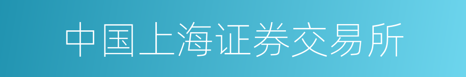 中国上海证券交易所的同义词