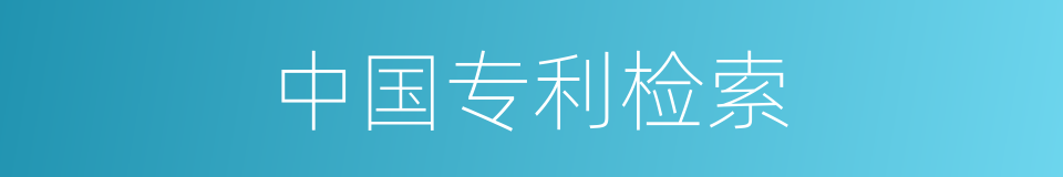 中国专利检索的同义词