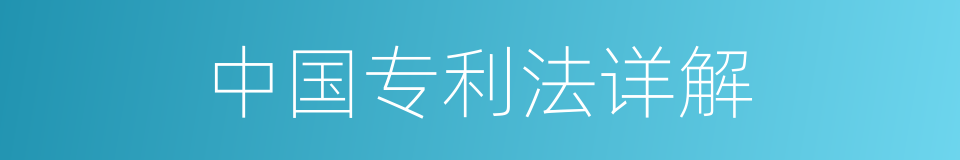 中国专利法详解的同义词