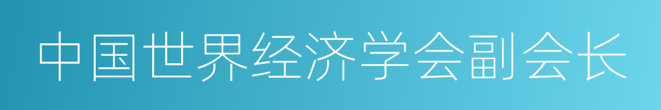 中国世界经济学会副会长的同义词