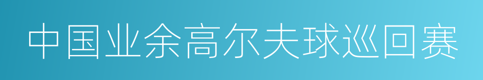 中国业余高尔夫球巡回赛的同义词