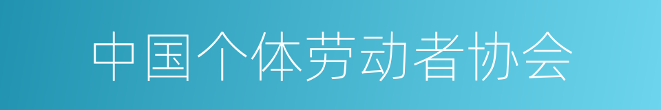 中国个体劳动者协会的同义词