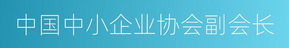 中国中小企业协会副会长的同义词