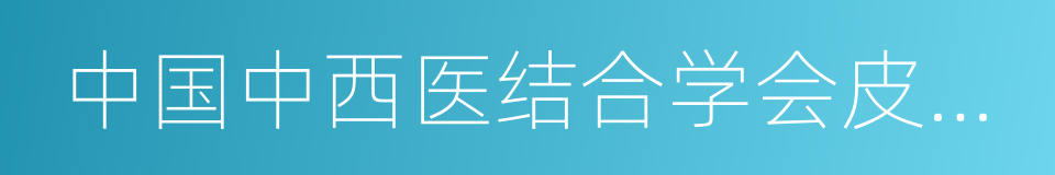 中国中西医结合学会皮肤性病专业委员会的同义词