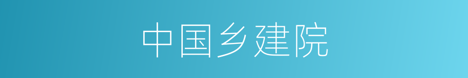 中国乡建院的同义词