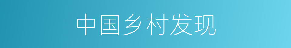 中国乡村发现的同义词