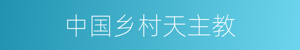 中国乡村天主教的同义词