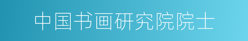 中国书画研究院院士的同义词