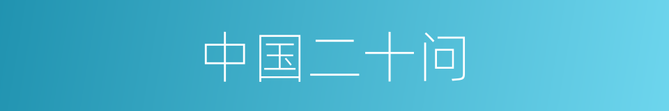 中国二十问的同义词