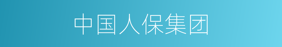 中国人保集团的同义词
