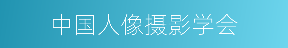 中国人像摄影学会的同义词