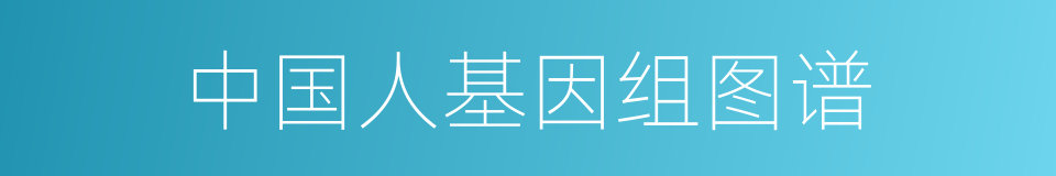 中国人基因组图谱的同义词