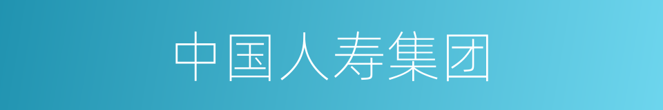 中国人寿集团的同义词