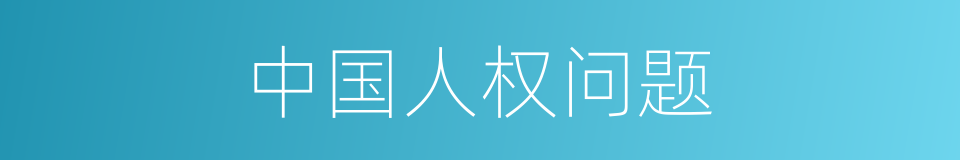 中国人权问题的同义词