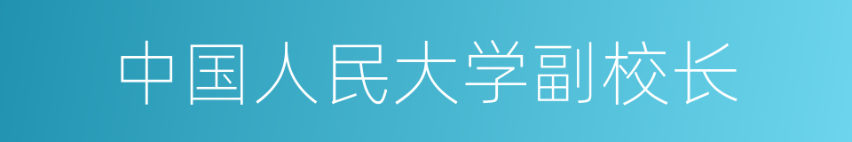 中国人民大学副校长的同义词