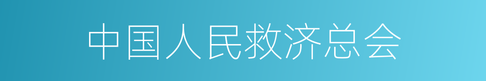 中国人民救济总会的同义词