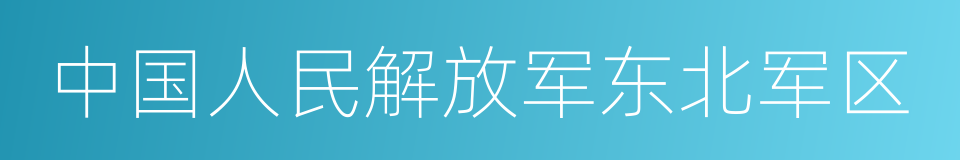 中国人民解放军东北军区的同义词