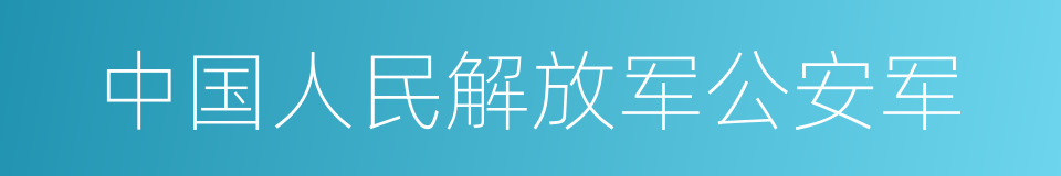 中国人民解放军公安军的同义词