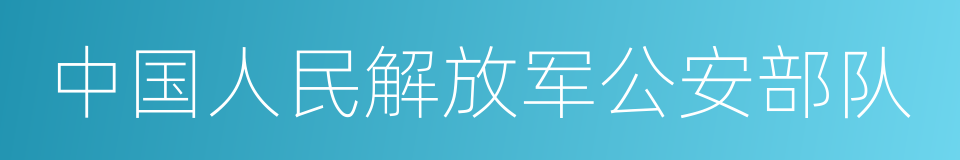 中国人民解放军公安部队的同义词