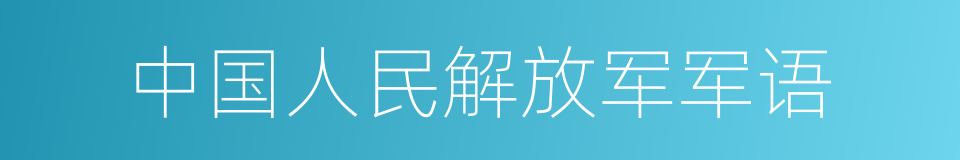 中国人民解放军军语的同义词