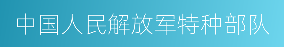 中国人民解放军特种部队的同义词