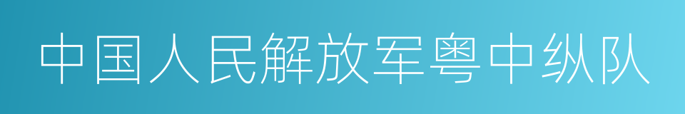 中国人民解放军粤中纵队的同义词