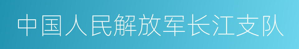 中国人民解放军长江支队的同义词