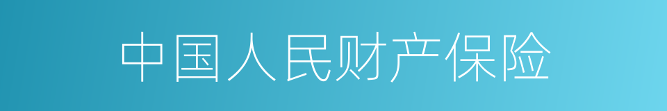 中国人民财产保险的同义词