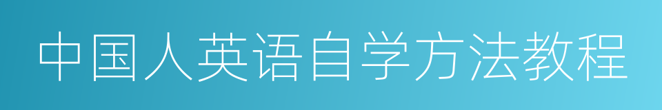 中国人英语自学方法教程的同义词