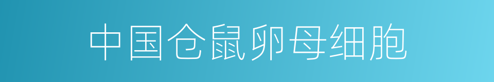 中国仓鼠卵母细胞的同义词