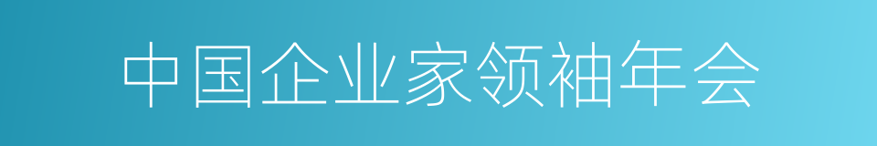 中国企业家领袖年会的同义词