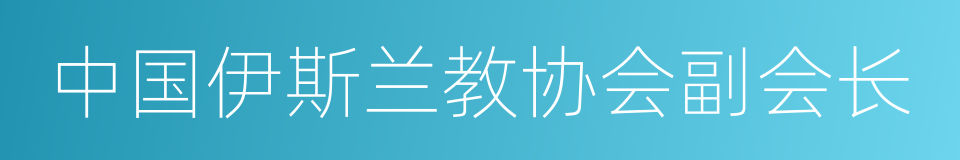 中国伊斯兰教协会副会长的同义词