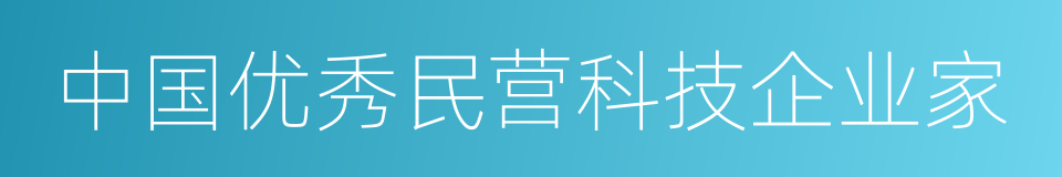 中国优秀民营科技企业家的同义词