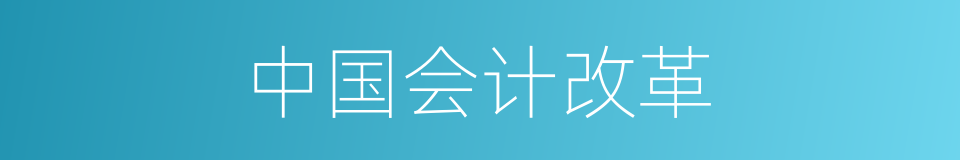 中国会计改革的同义词