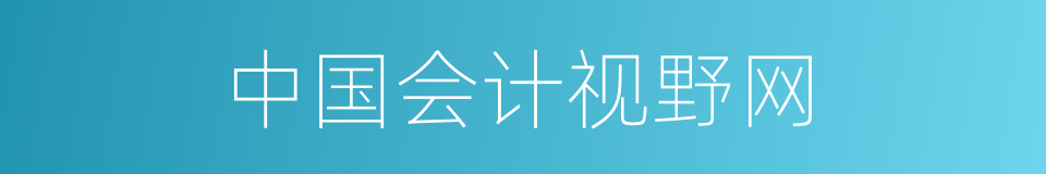 中国会计视野网的同义词
