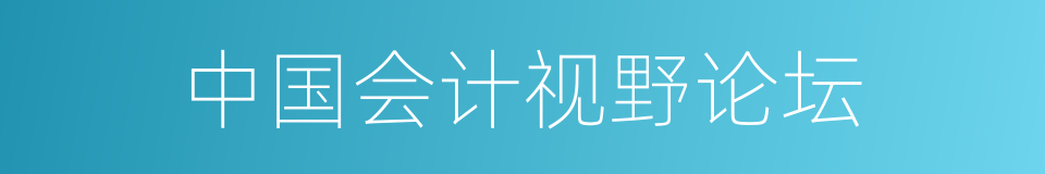 中国会计视野论坛的同义词