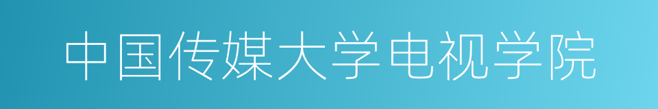 中国传媒大学电视学院的同义词